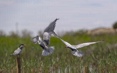 재단법인 EAAFP, 2021-2022 민간단체 지원사업(여름사업) 결과 보고서 발간